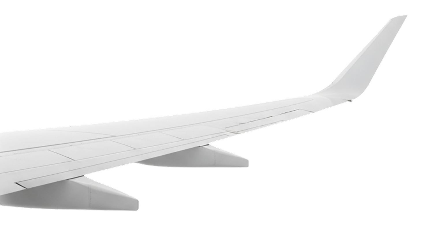 Jessica Joly La peur de l avion participer a un atelier